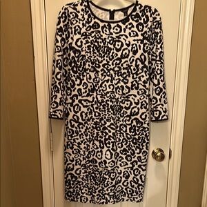 Ann Taylor Leopard Print Black and White Dress